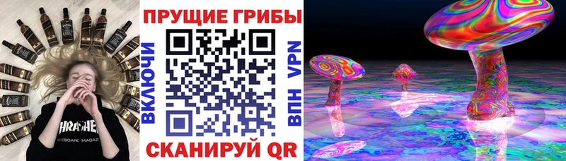сколько стоит Щучье нарко площадка формула Псилоцибиновые грибы GOLDEN TEACHER